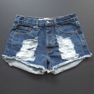Brandy Melville Distressed Denim Shorts | Button Fly | Size 38 (Small)